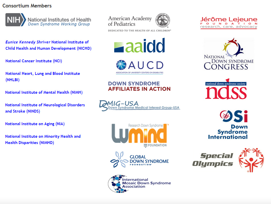 The Down syndrome Consortium members